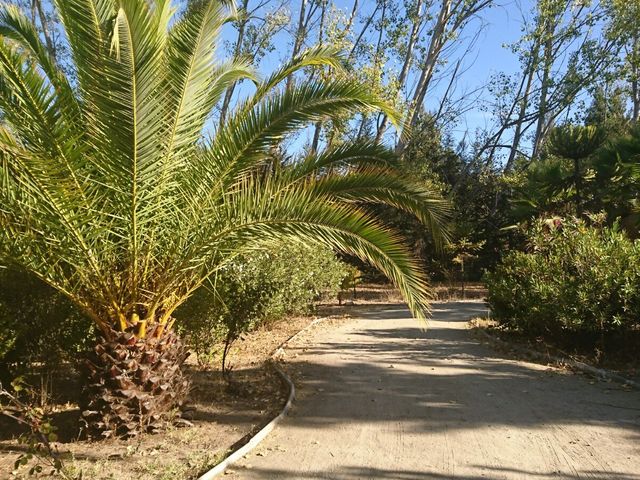 place photo 11
