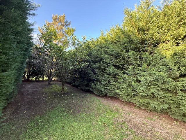 place photo 39