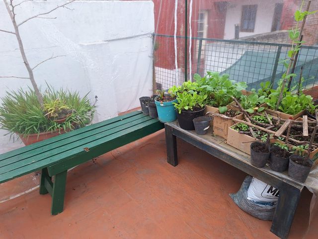 place photo 48