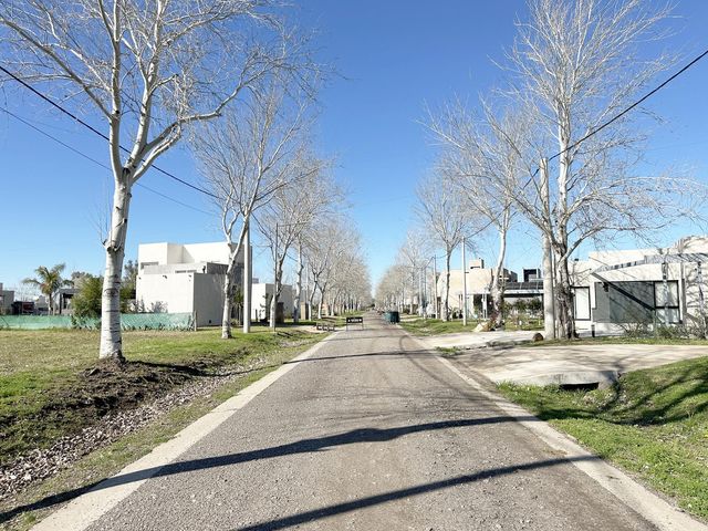 place photo 26