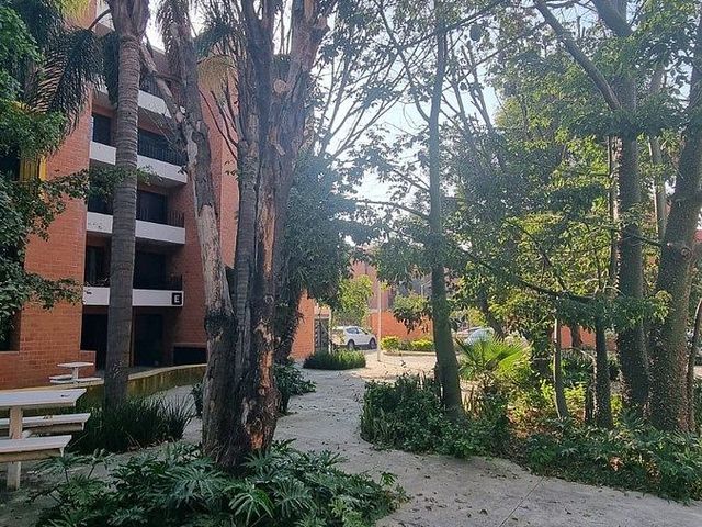 place photo 28