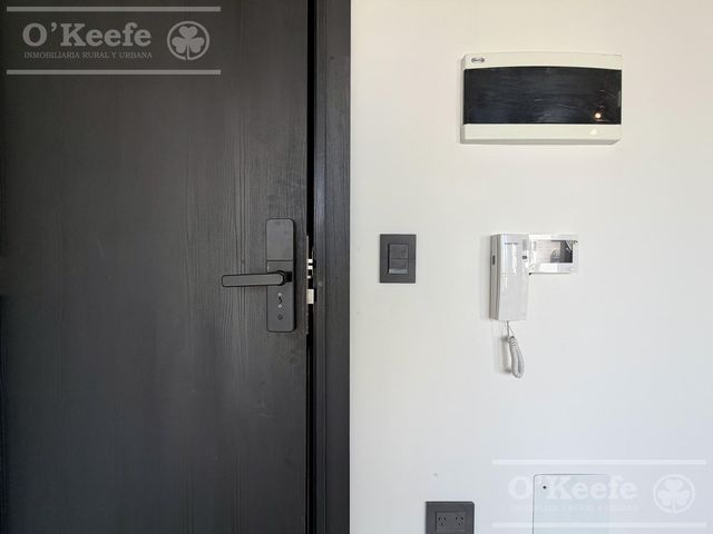 place photo 43