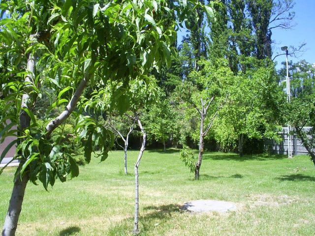 place photo 11