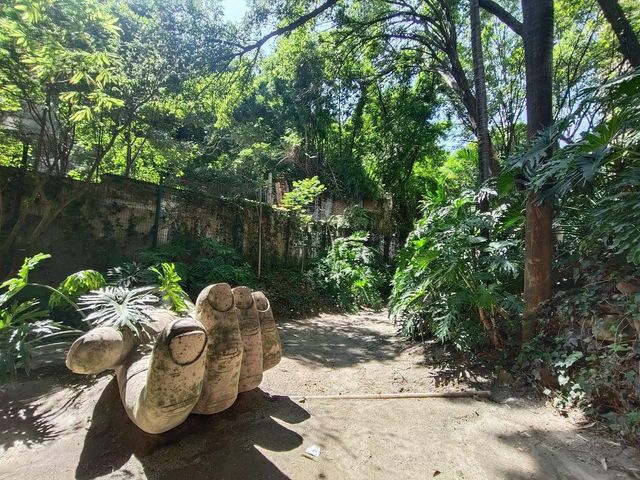 place photo 32