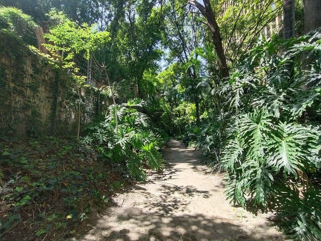 place photo 34