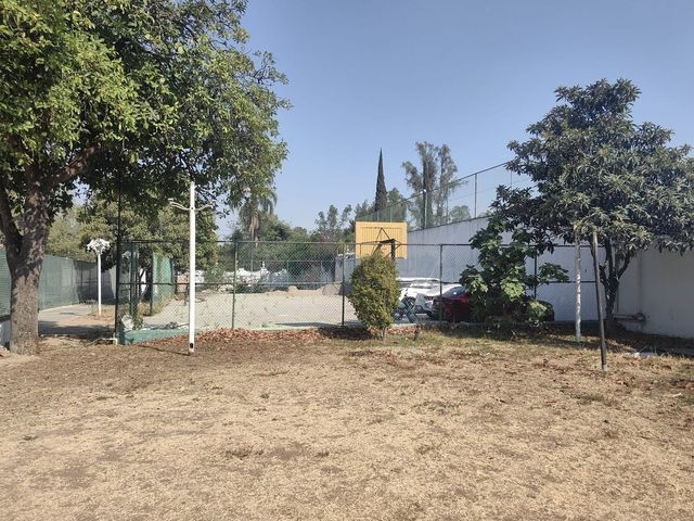 place photo 18