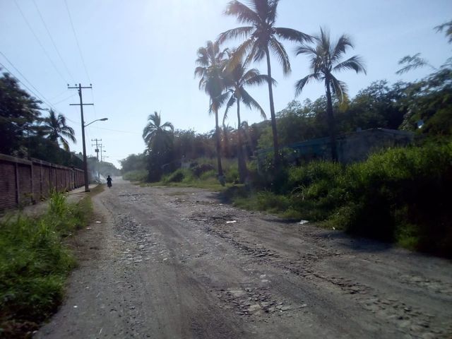place photo 12