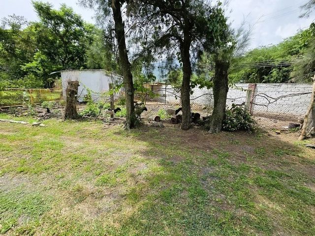 place photo 30