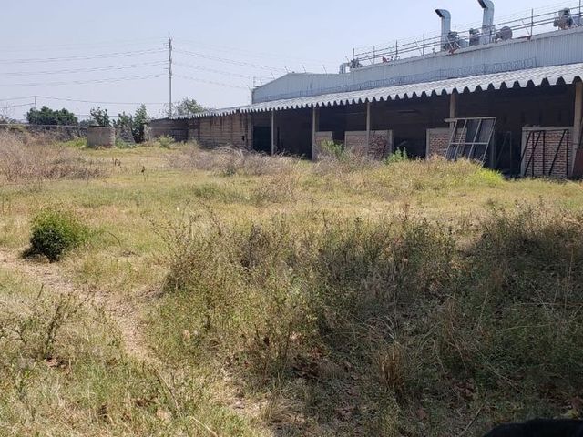 place photo 21