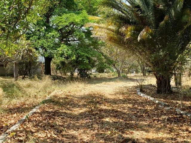 place photo 23
