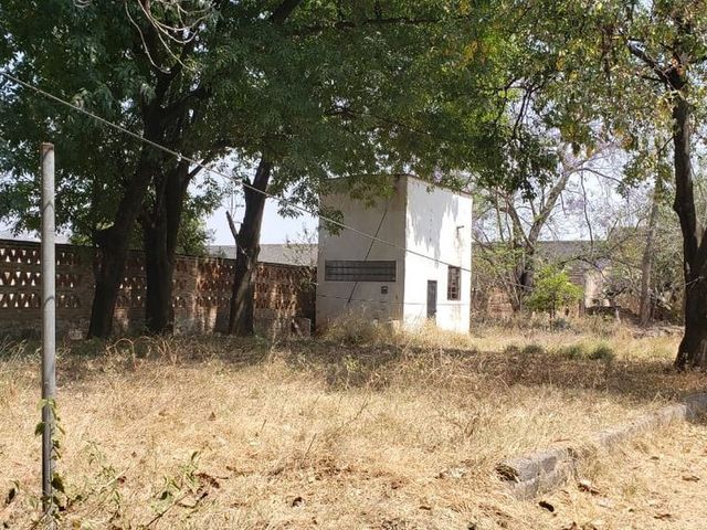 place photo 11