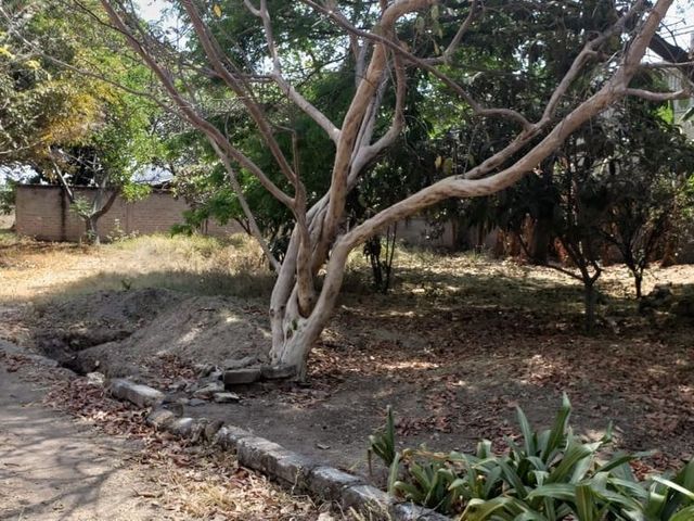 place photo 9