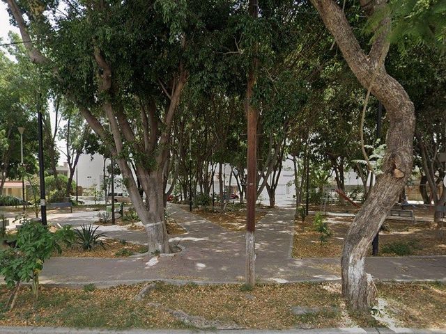 place photo 4