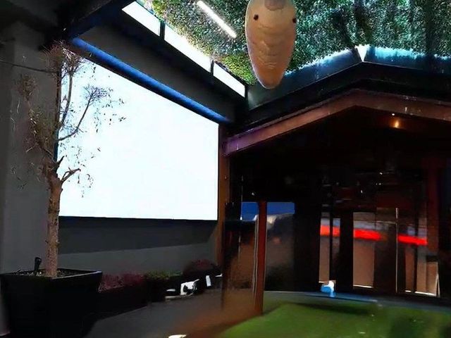 place photo 18