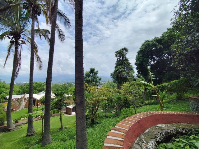 place photo 38