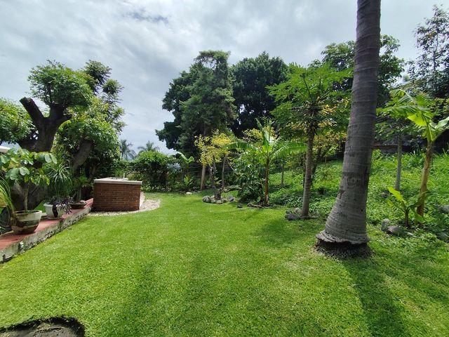 place photo 37
