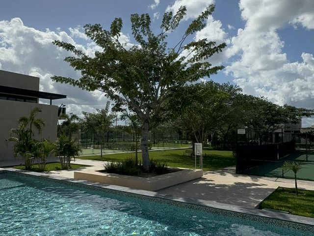 place photo 33