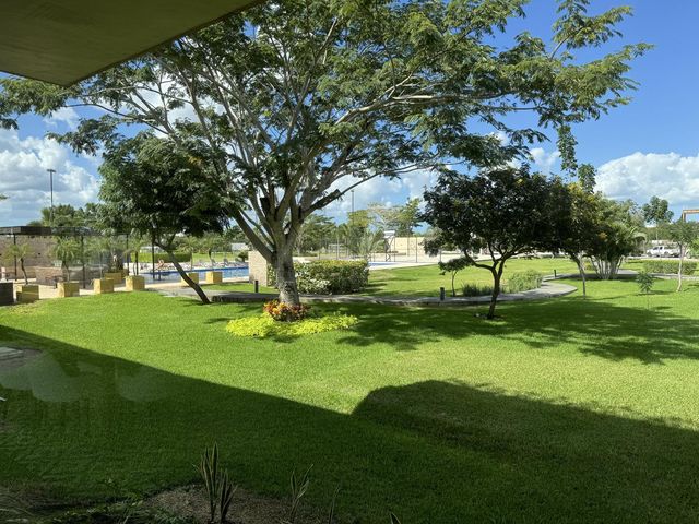 place photo 27