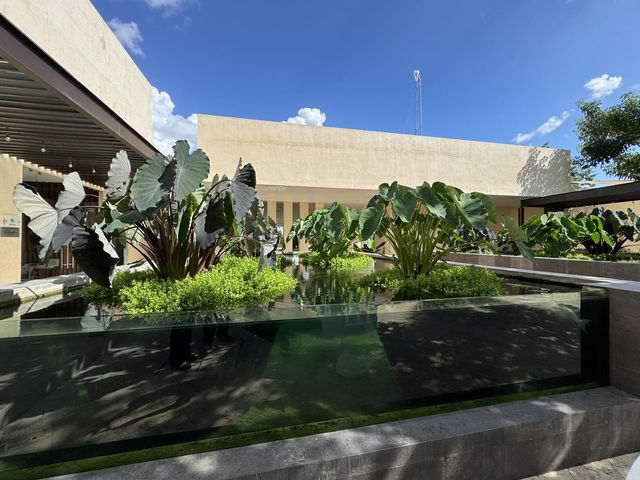 place photo 37