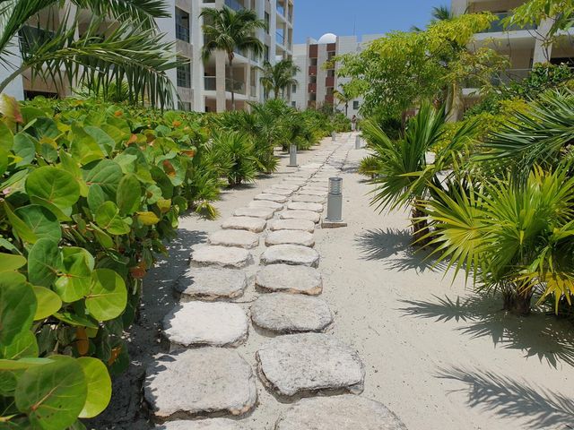 place photo 61