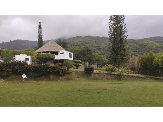 place photo 65