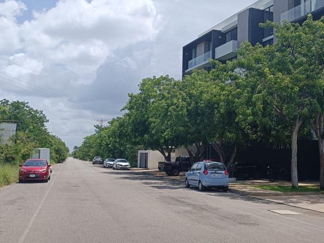 place photo 10