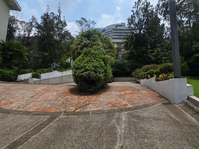 place photo 42