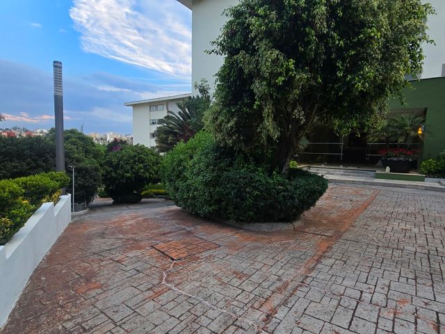 place photo 35