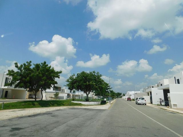 place photo 43