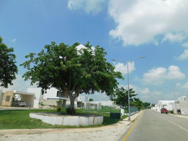 place photo 44
