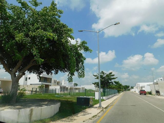 place photo 45