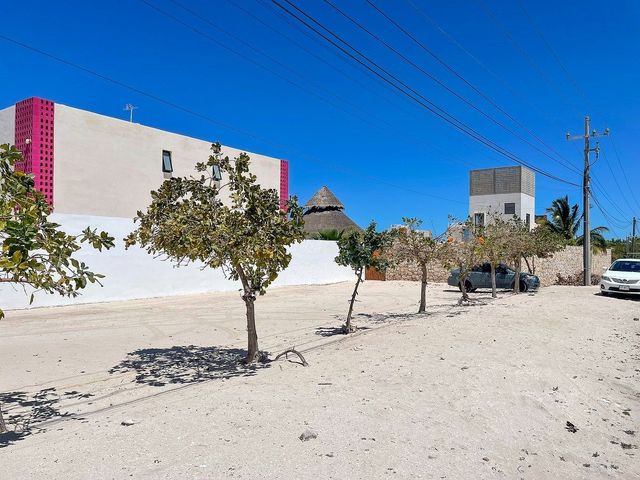 place photo 29