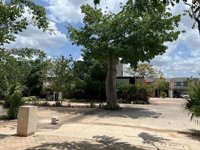 place photo 18