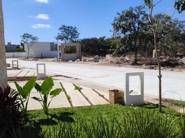 place photo 31
