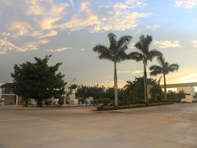 place photo 43