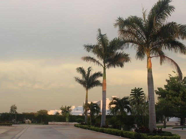 place photo 42