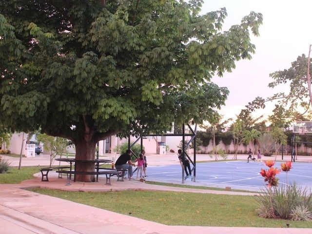 place photo 39