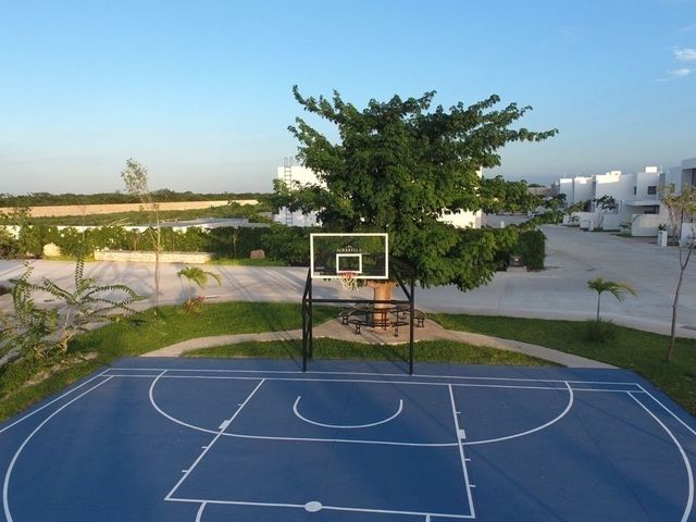 place photo 31