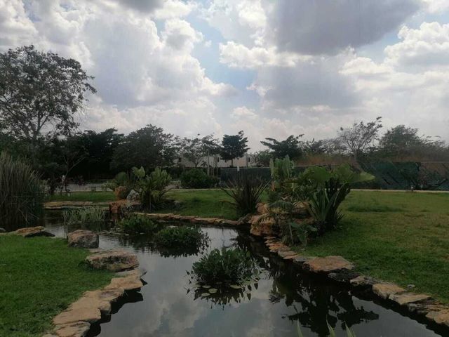 place photo 22