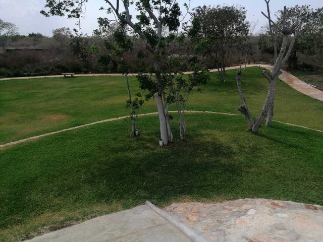 place photo 26