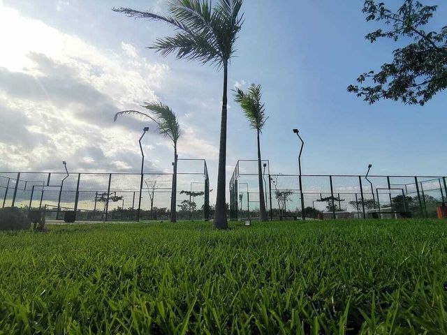 place photo 23