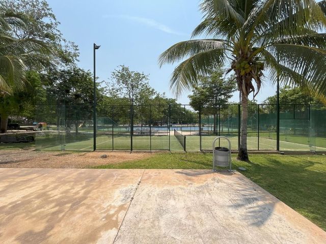 place photo 35