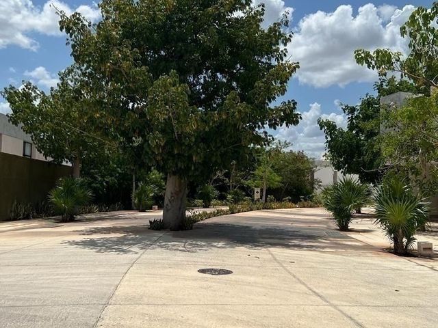place photo 21