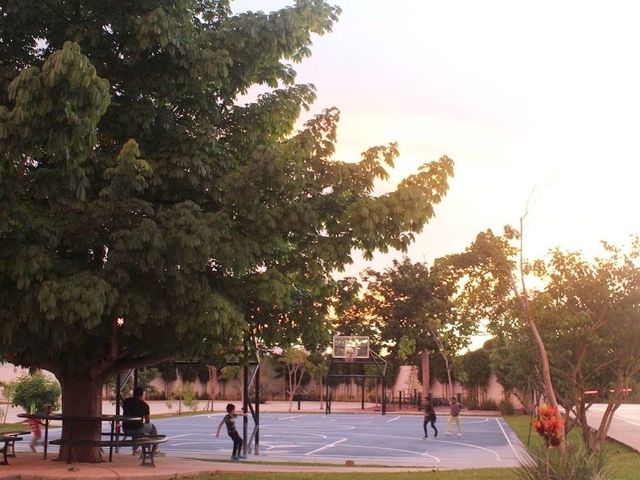 place photo 24