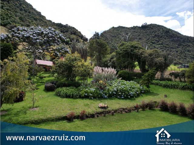 place photo 56