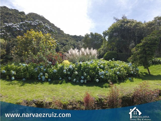 place photo 63
