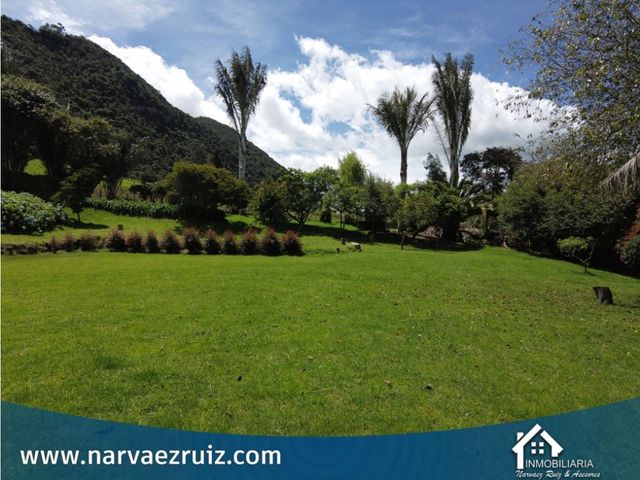 place photo 60