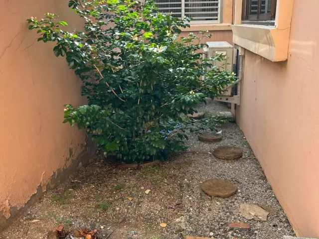 place photo 33