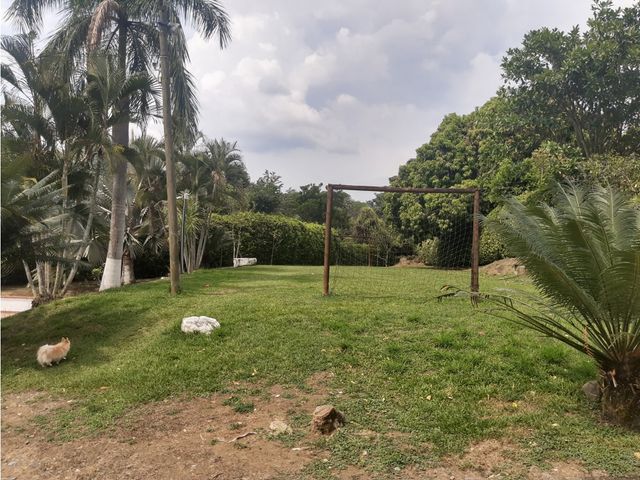 place photo 41
