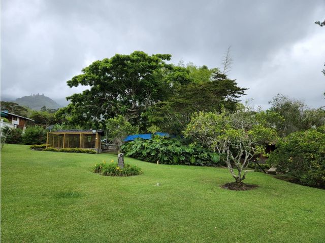 place photo 50